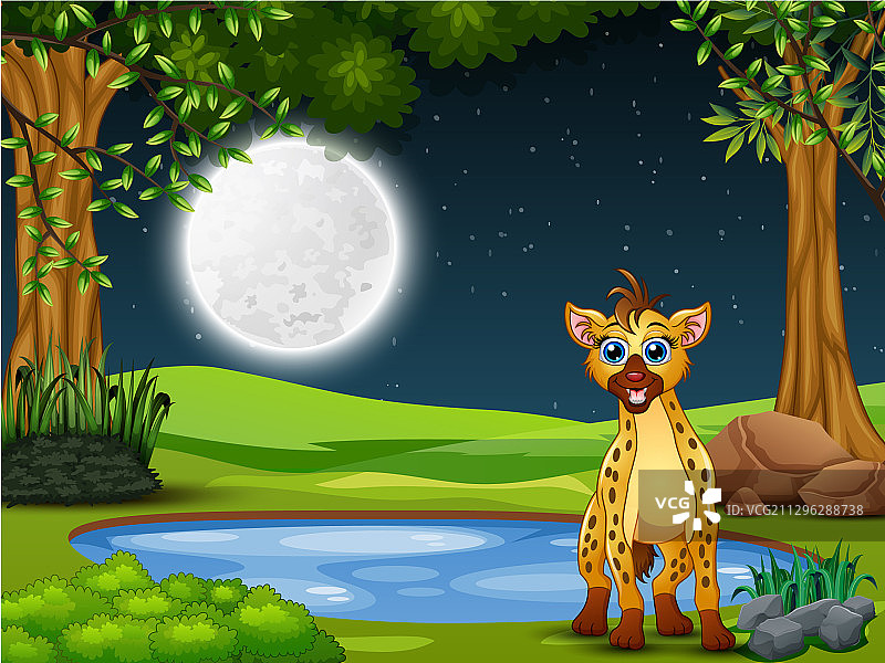 夜晚寻找猎物的鬣狗图片素材