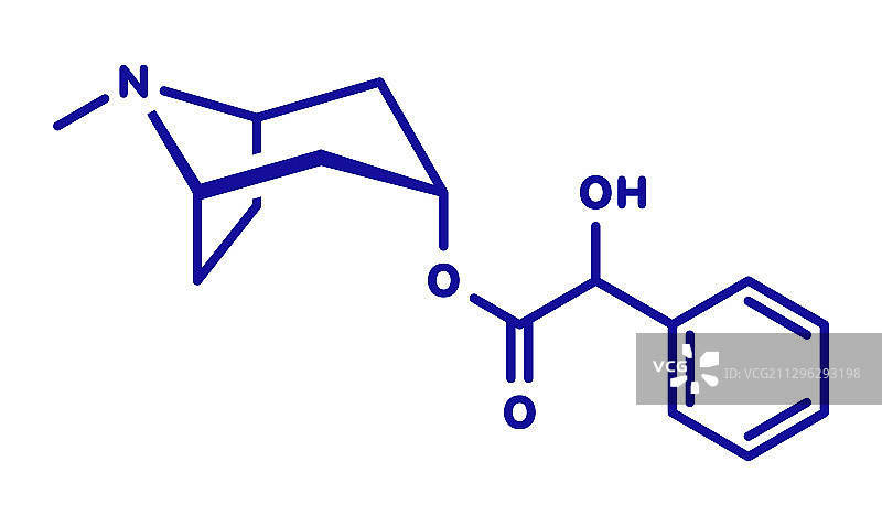 阿托品致命的颠茄生物碱分子图片素材