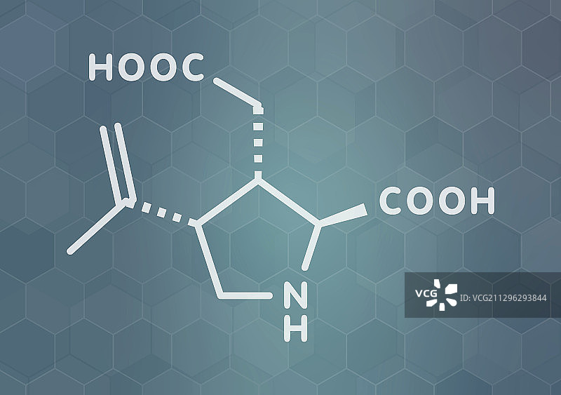 海人酸分子图片素材
