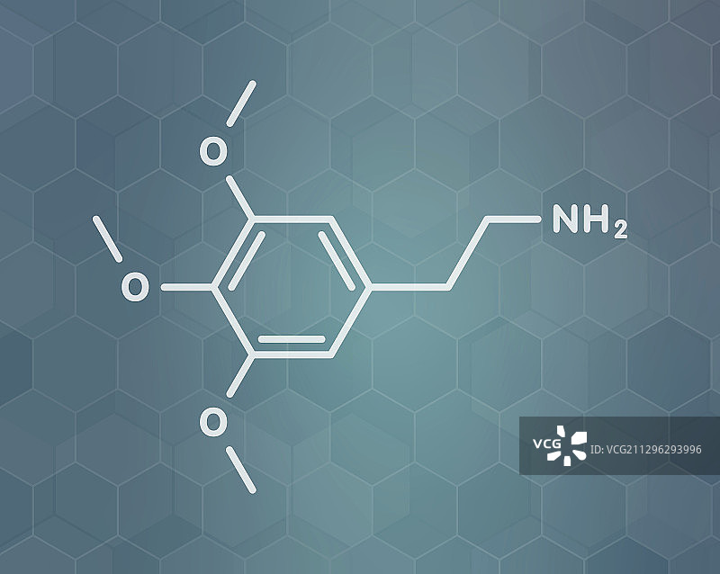 乌羽玉仙人掌迷幻分子图片素材