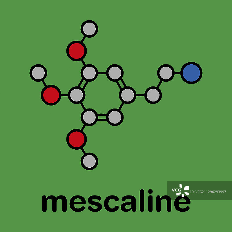 乌羽玉仙人掌迷幻分子图片素材