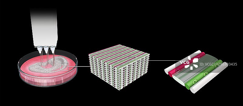 3D生物打印插图图片素材