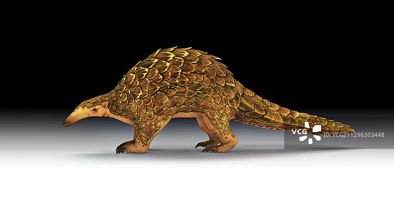 巨型穿山甲插画图片素材