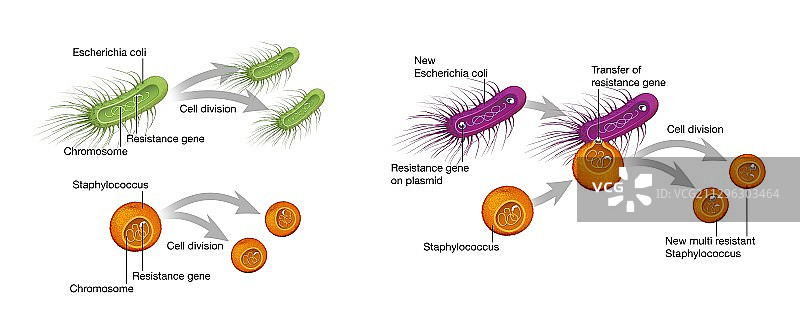 细菌抗生素耐药性的发展图片素材