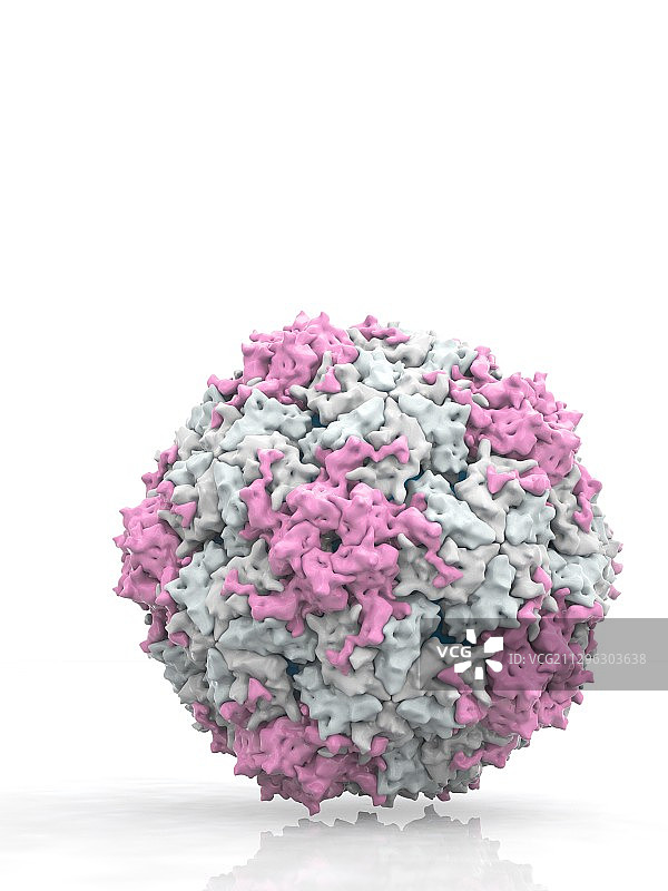 柯萨奇病毒颗粒插图图片素材