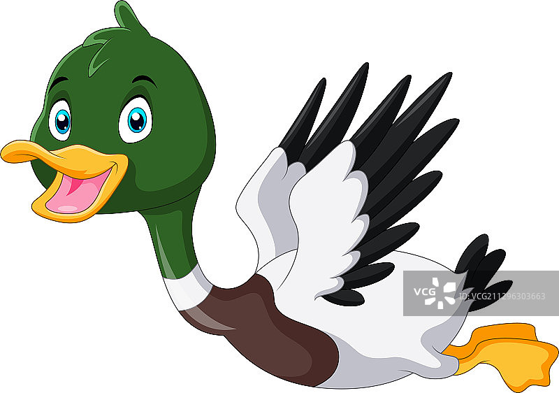 可爱的卡通绿头鸭飞翔图片素材