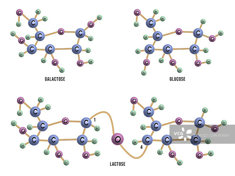 乳糖分子结构图图片素材