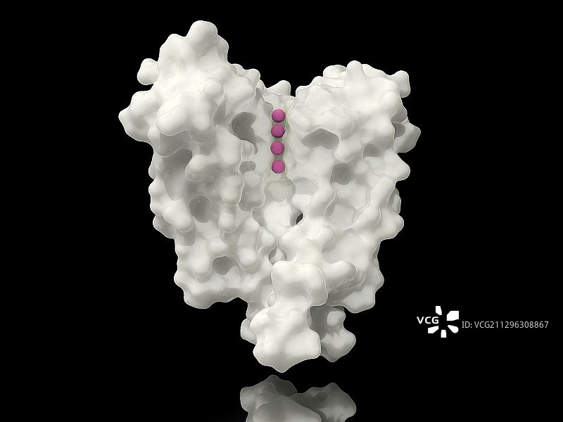 电压门控钾离子通道分子模型图片素材