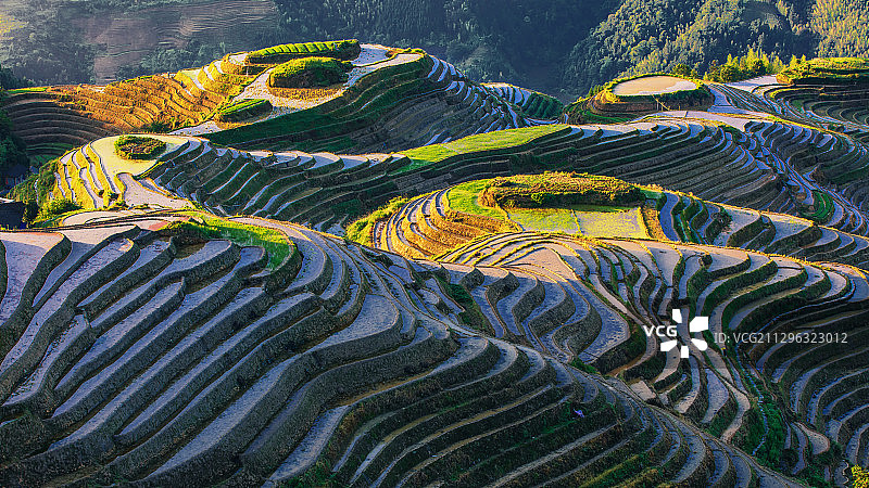梯田图片素材