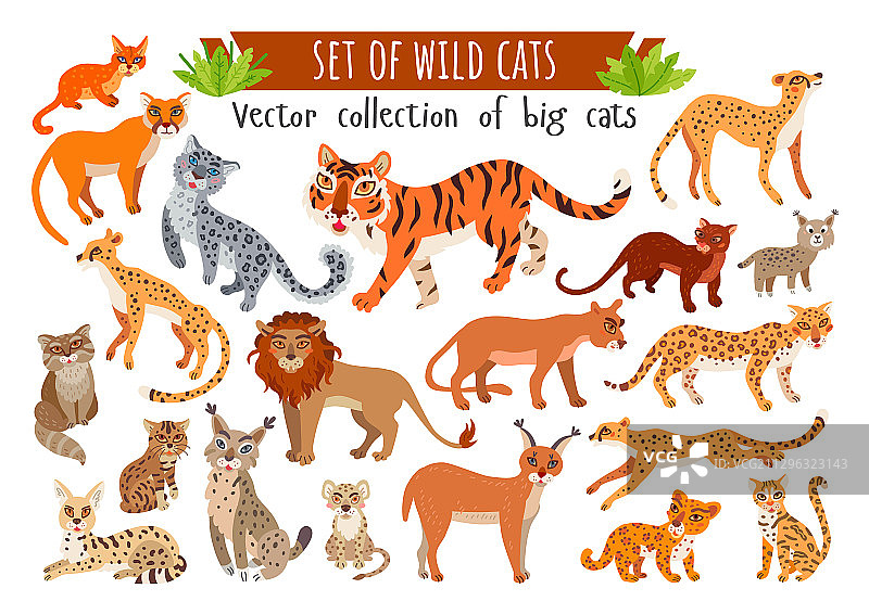 野生卡通异域猫科动物套图图片素材