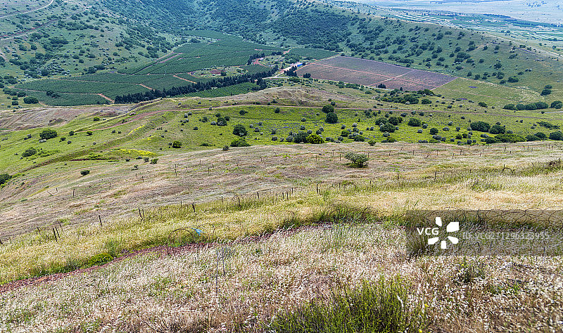 夏日里宁静的戈兰高地图片素材