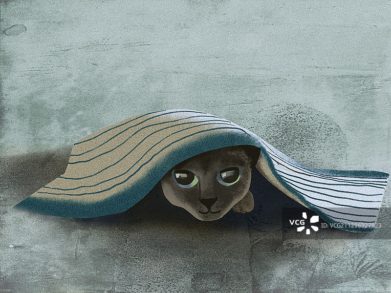 想隐身的猫图片素材