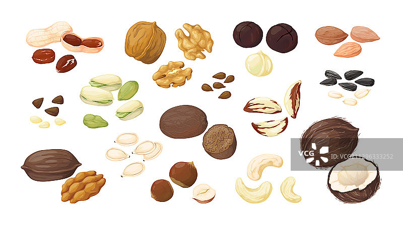 卡通坚果：杏仁、花生、核桃、榛子图片素材