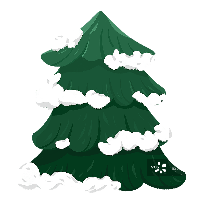 雪松图片素材