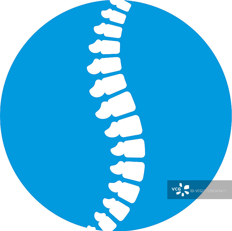 脊椎图标图片素材