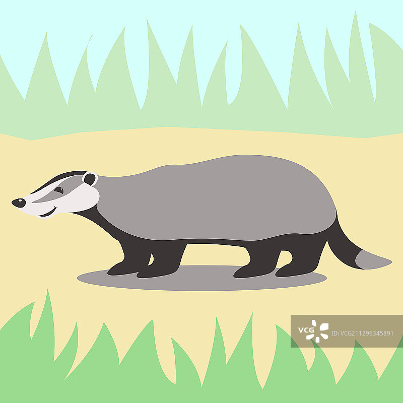 卡通扁平风格獾侧面头像图片素材