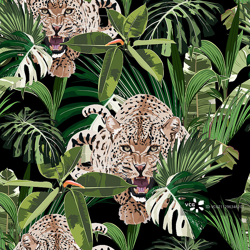 猎豹与棕榈叶热带风图片素材