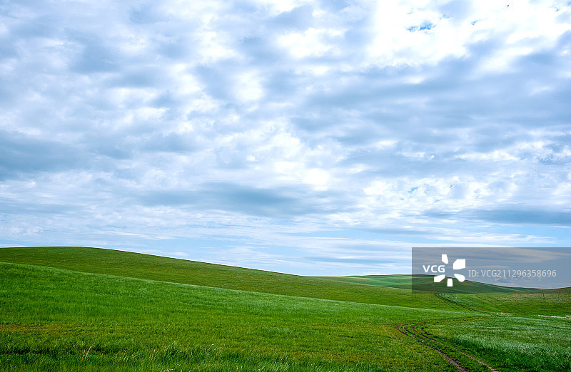 穿过牧场的车辙图片素材