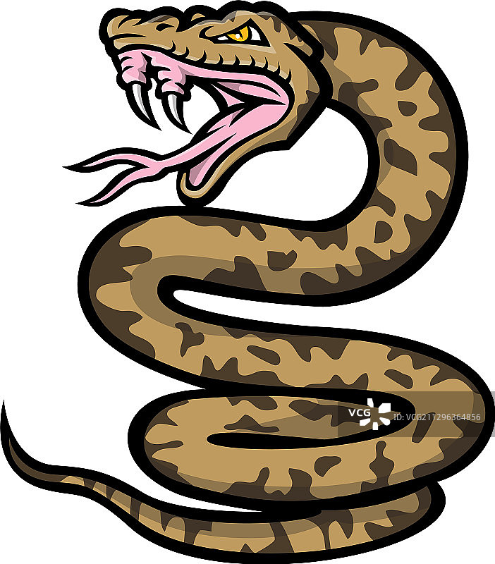 具有攻击性的冲绳波布蛇吉祥物图片素材