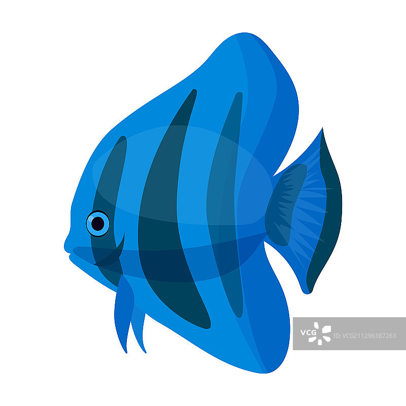 热带鱼卡通图标图片素材