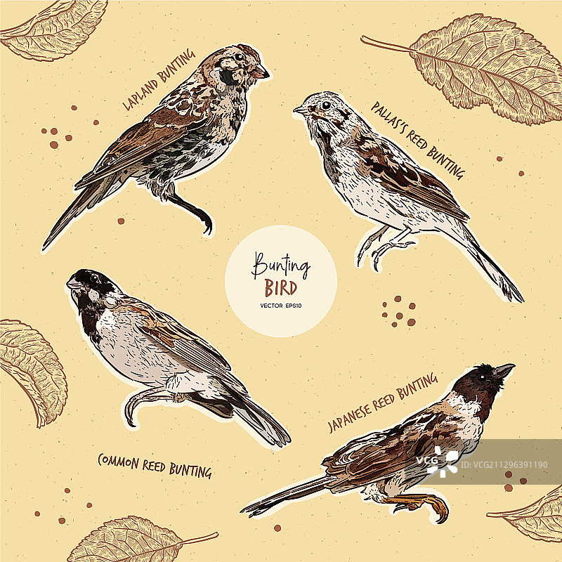 彩旗小鸟手绘草图套装图片素材