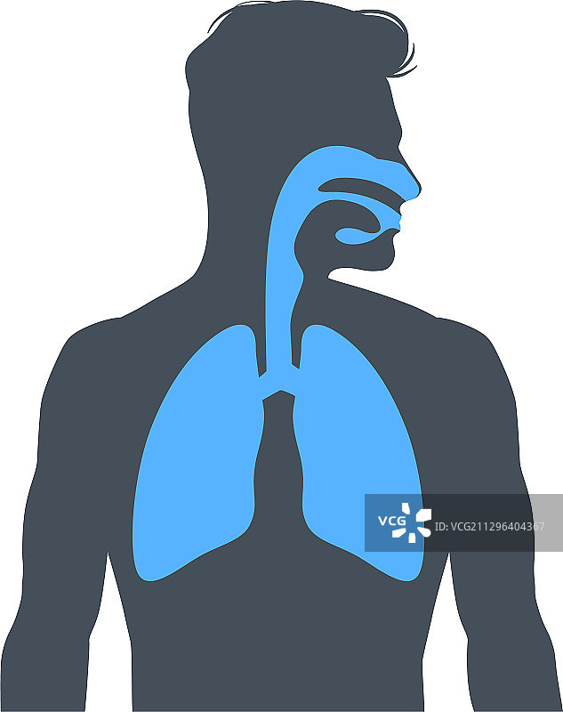 人体呼吸系统图片素材