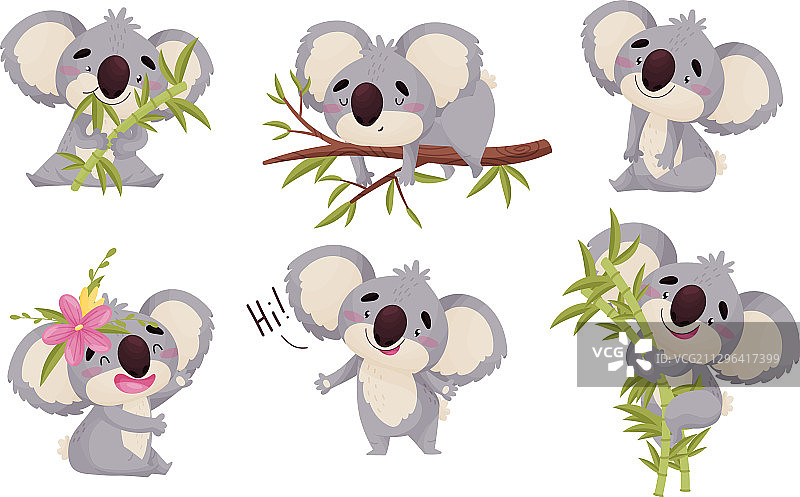 卡通考拉动物，大耳朵和鼻子图片素材