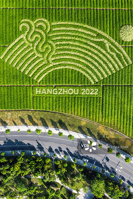 杭州亚运会标志图片素材