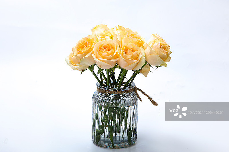 黄玫瑰特写图片素材