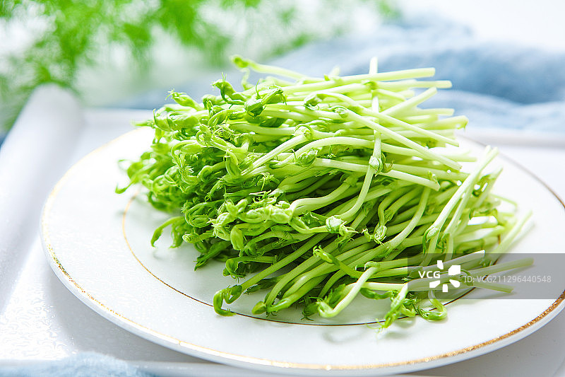 红豆芽图片素材