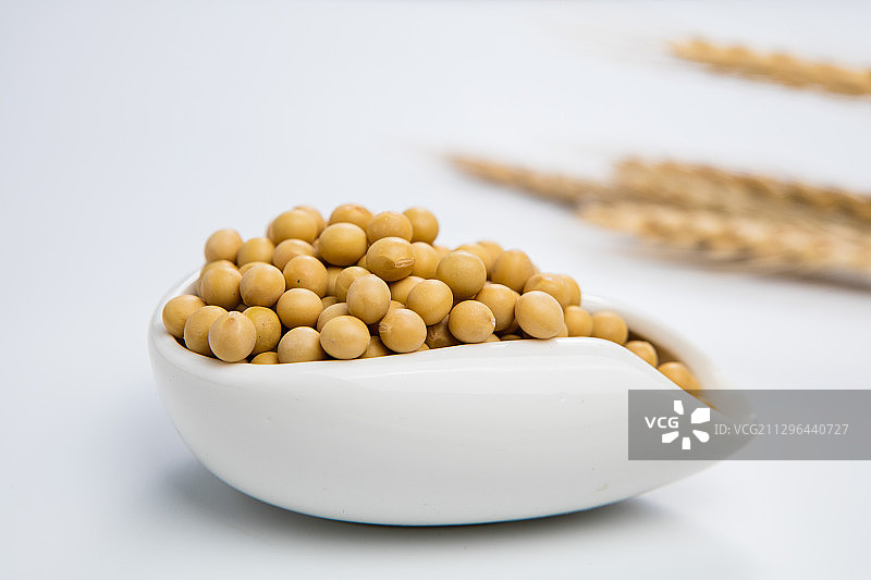 黄豆图片素材
