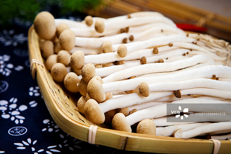 少量真姬菇图片素材