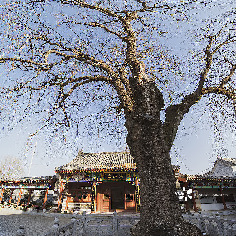 安徽省涡阳县义门镇伯俞故里图片素材