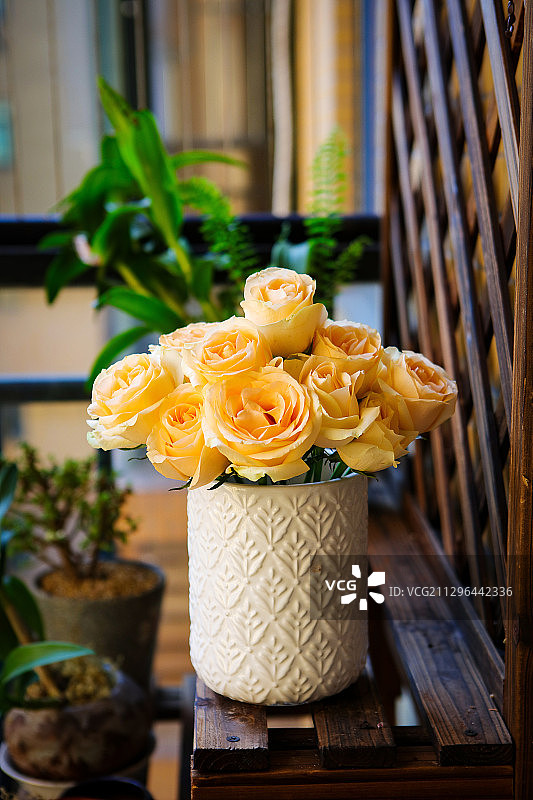 黄玫瑰特写图片素材