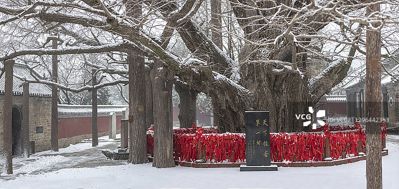 山东省日照市莒县浮来山定林寺雪景图片素材