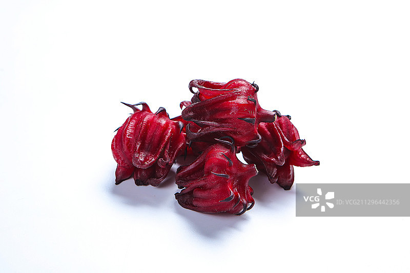 洛神花图片素材