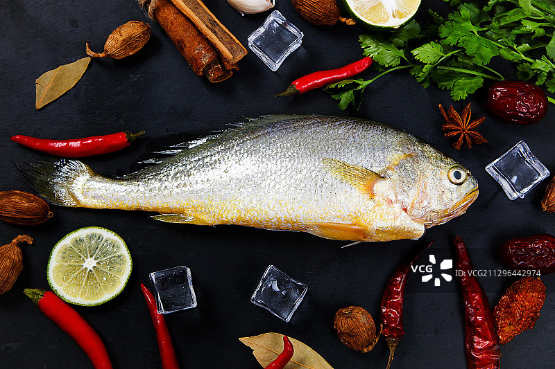 一条黄花鱼图片素材