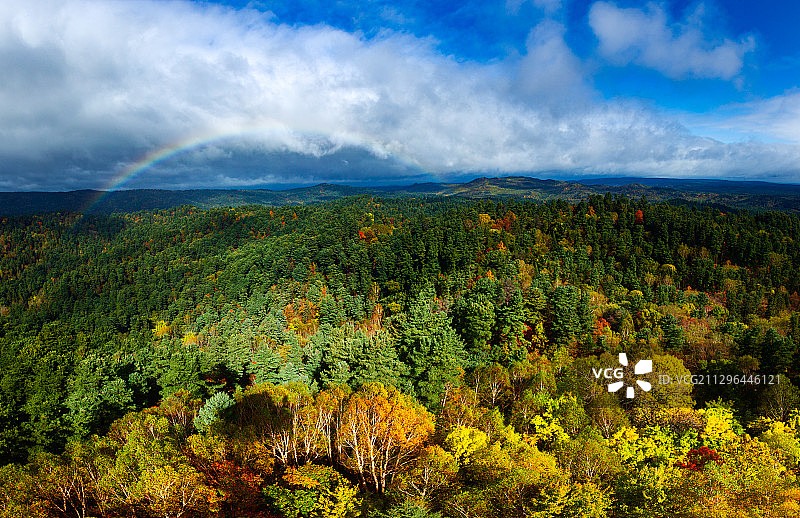 黑龙江省小兴安岭五营国家森林公园图片素材