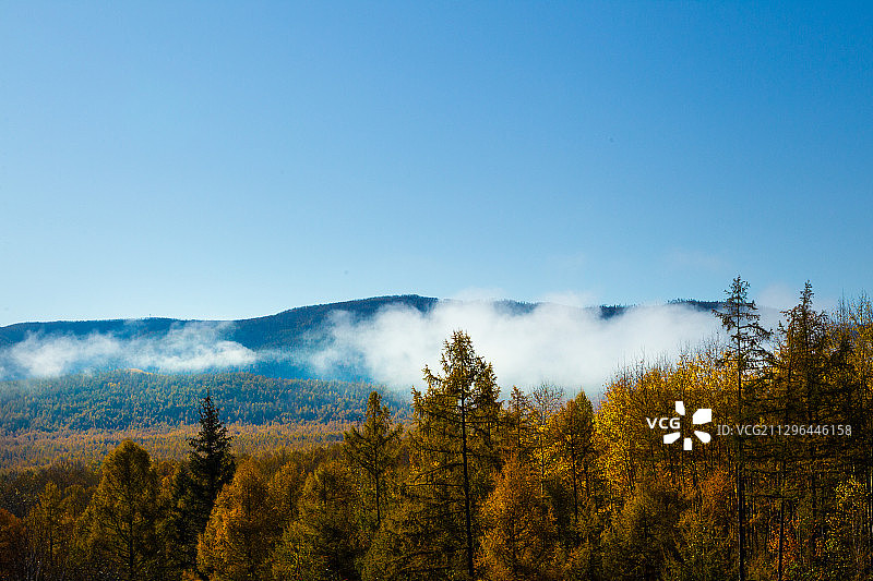 黑龙江省大兴安岭秋景图片素材