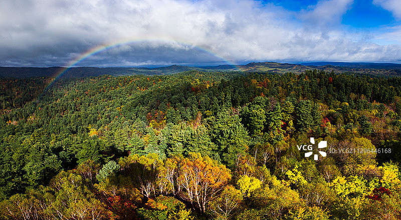 黑龙江省小兴安岭五营国家森林公园图片素材
