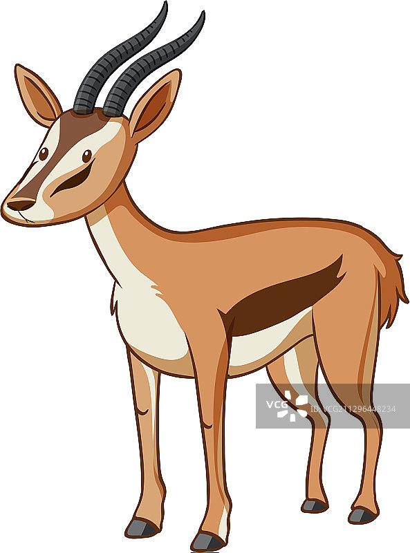 站在白色背景上的可爱瞪羚图片素材