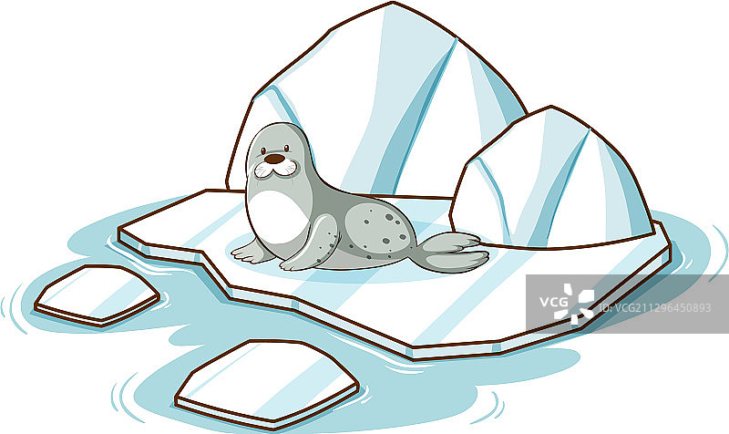 白色背景上冰山上的小海豹图片素材