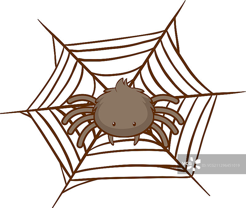 白色背景上的蜘蛛网上的大蜘蛛图片素材