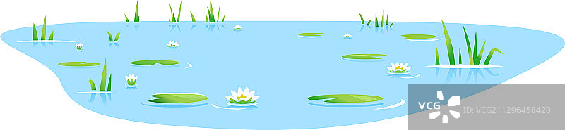 孤立的香蒲小池塘图片素材