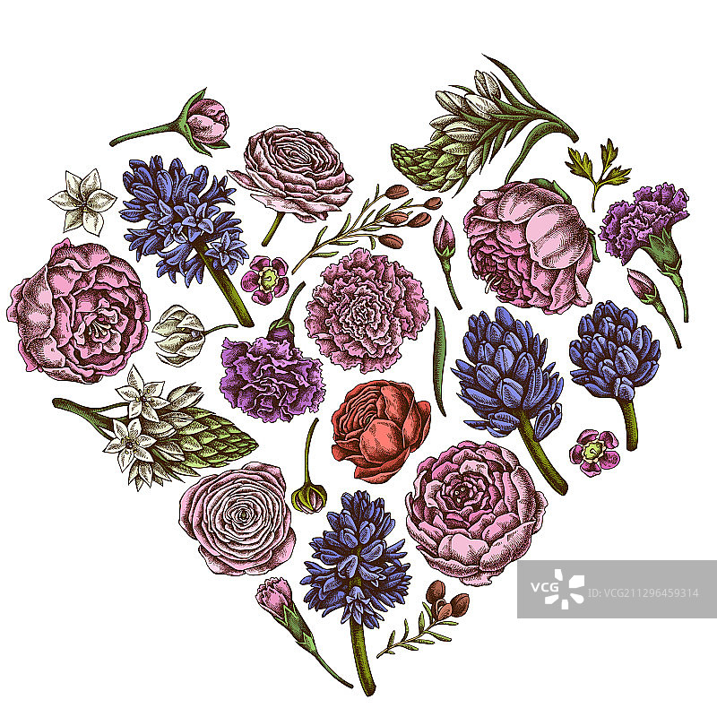 彩色牡丹康乃馨爱心花卉设计图片素材