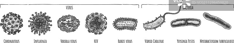 手绘不同病毒和细菌集合图片素材