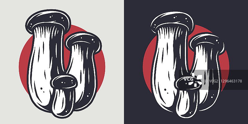 秋季森林采摘杏鲍菇图片素材