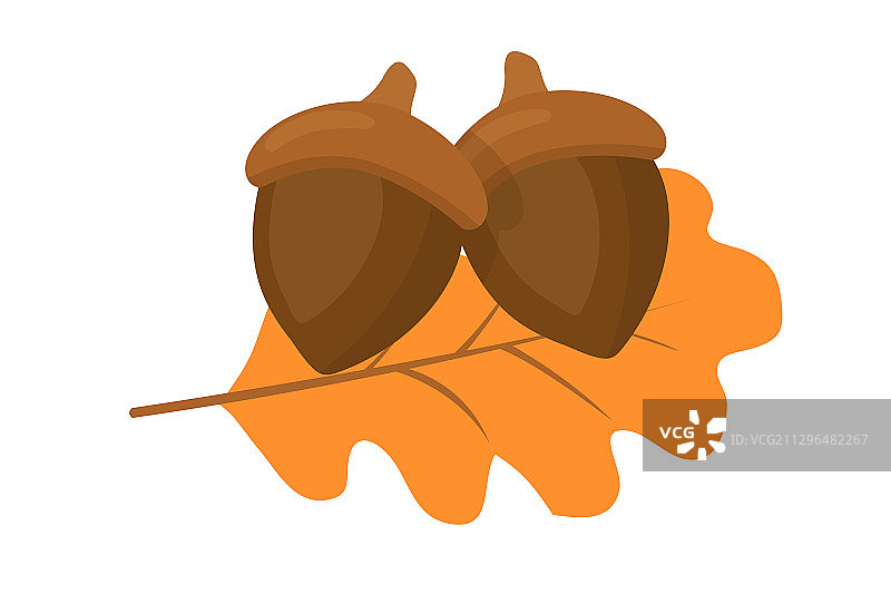 干树叶和橡子图片素材