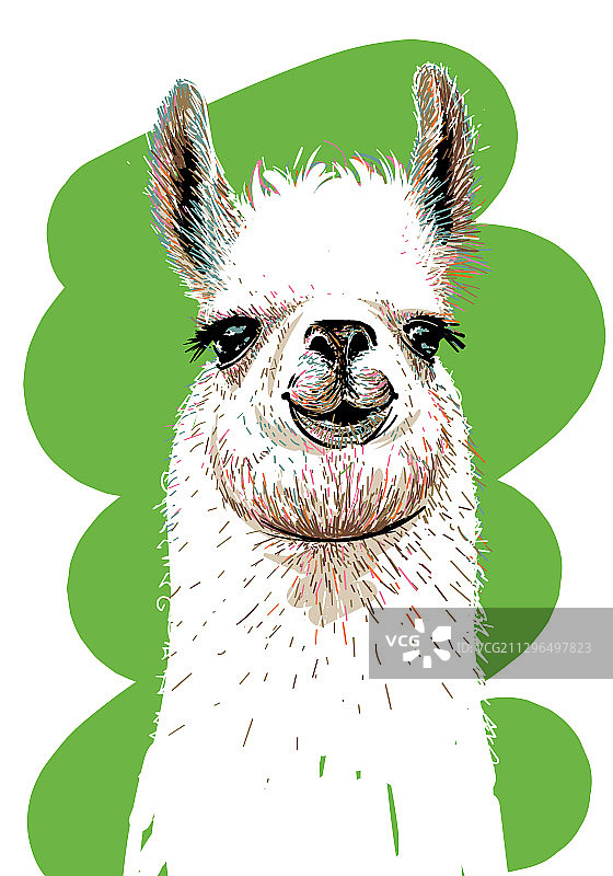 羊驼手绘T恤印花图片素材