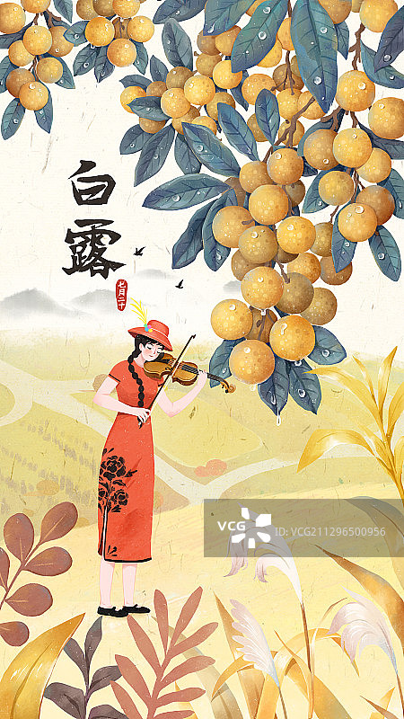 白露节气插画图片素材